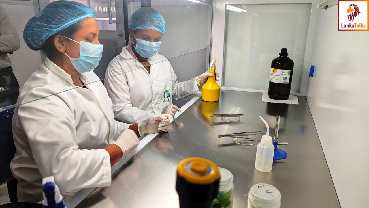 Lotus Group opens Sri Lanka’s first export-based private tissue culture laboratory in Nikaweratiya