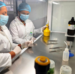 Lotus Group opens Sri Lanka’s first export-based private tissue culture laboratory in Nikaweratiya