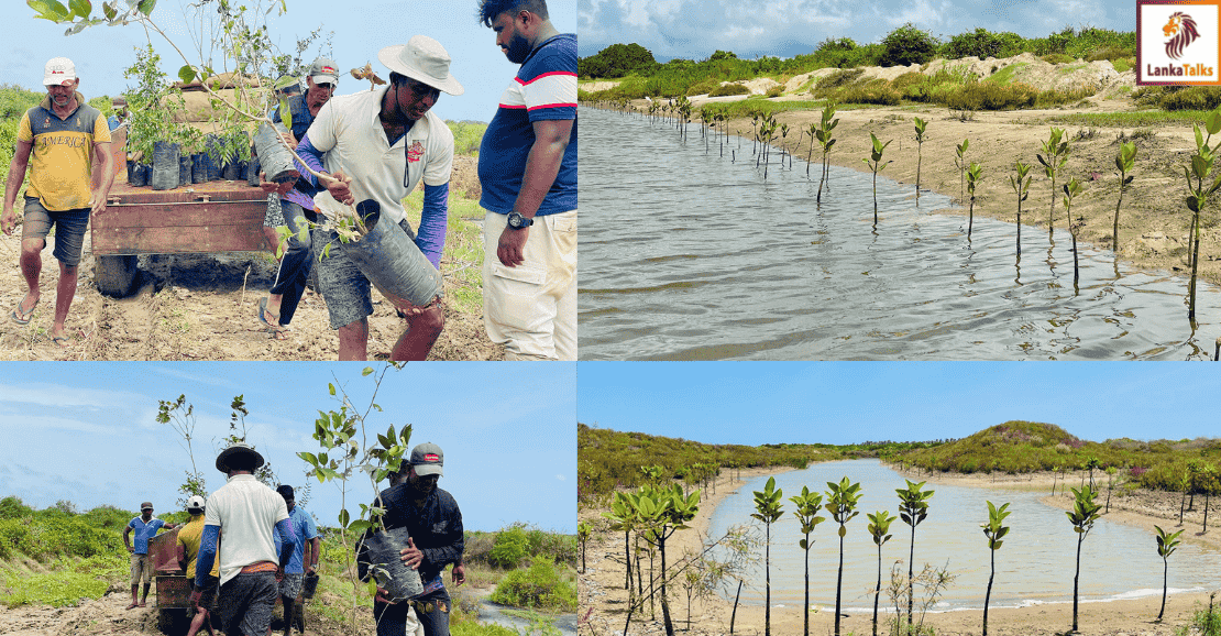 Dilmah Strengthens Sri Lanka’s Water & Ocean Stewardship