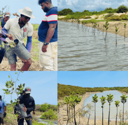 Dilmah Strengthens Sri Lanka’s Water & Ocean Stewardship