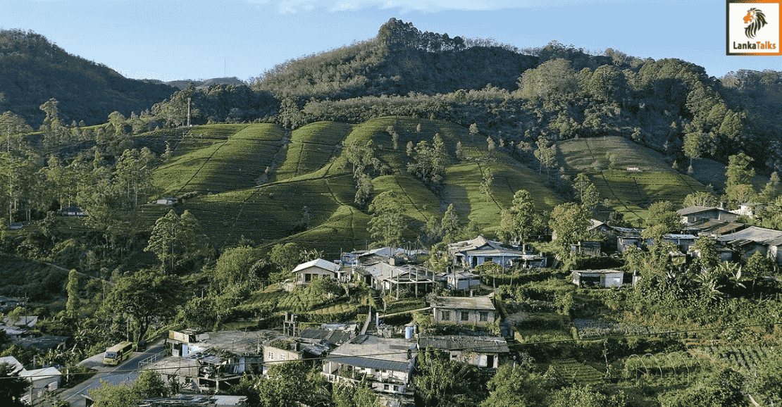 SVAT REMOVAL: TEA EXPORTERS WARN OF RS. 2 B WEEKLY VAT BURDEN