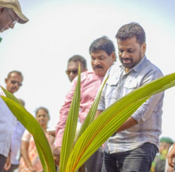 First Coconut Seed Production Unit in the North Launched under President’s Patronage