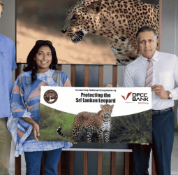 DFCC Bank and WWCT Partner to Advance Biodiversity and Landscape Conservation through Leopard Protection