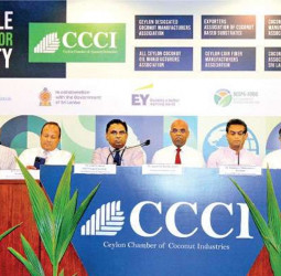 CCCI recognizes Northern coconut triangle as a key step in Sri Lanka’s socio-economic growth trajectory